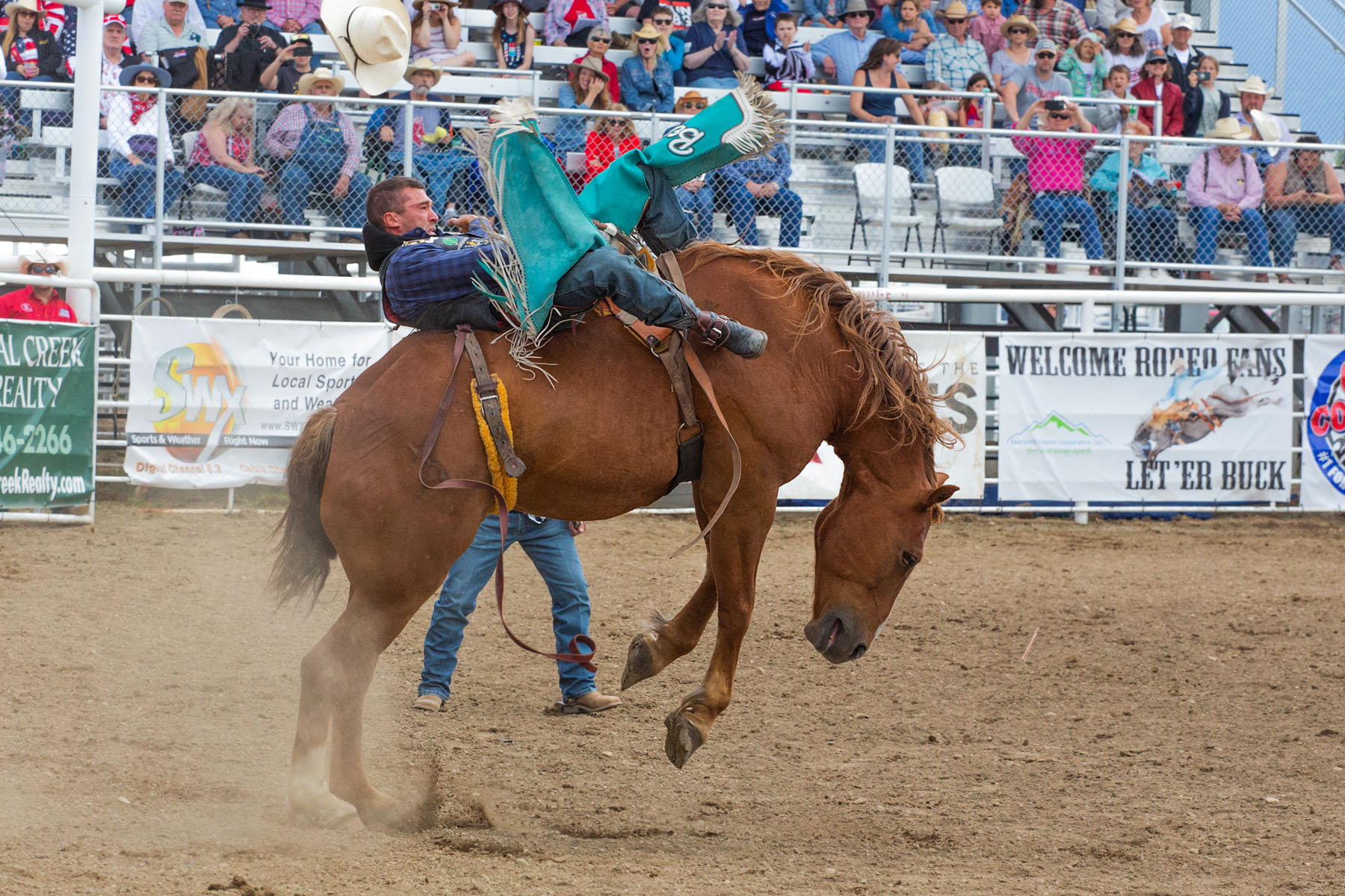 Bronc riding, Red Lodge 4th of July rodeo.  Click for next photo.