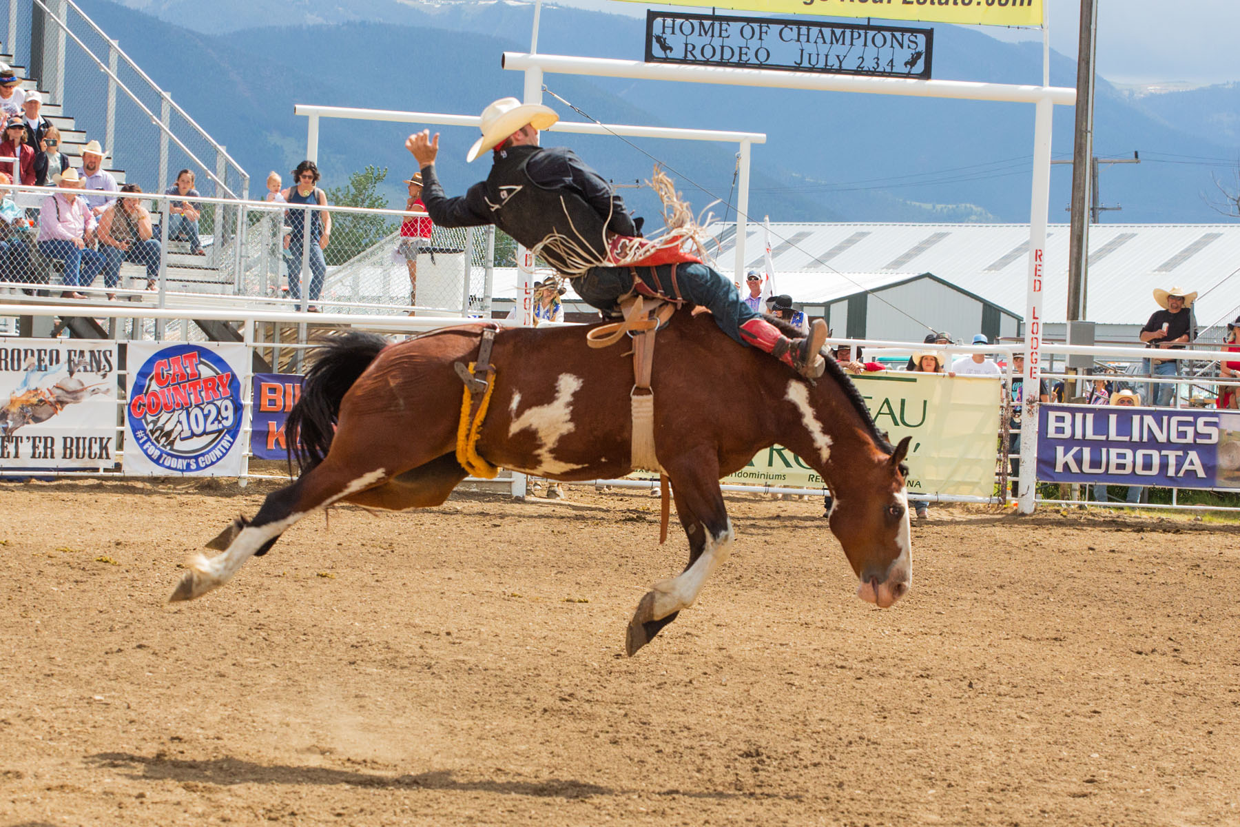 Bronc riding, Red Lodge 4th of July rodeo.  Click for next photo.