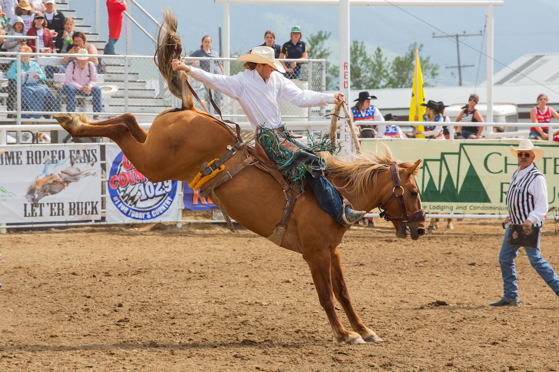 Saddle bronc, Red Lodge 4th of July rodeo.  Click for next photo.