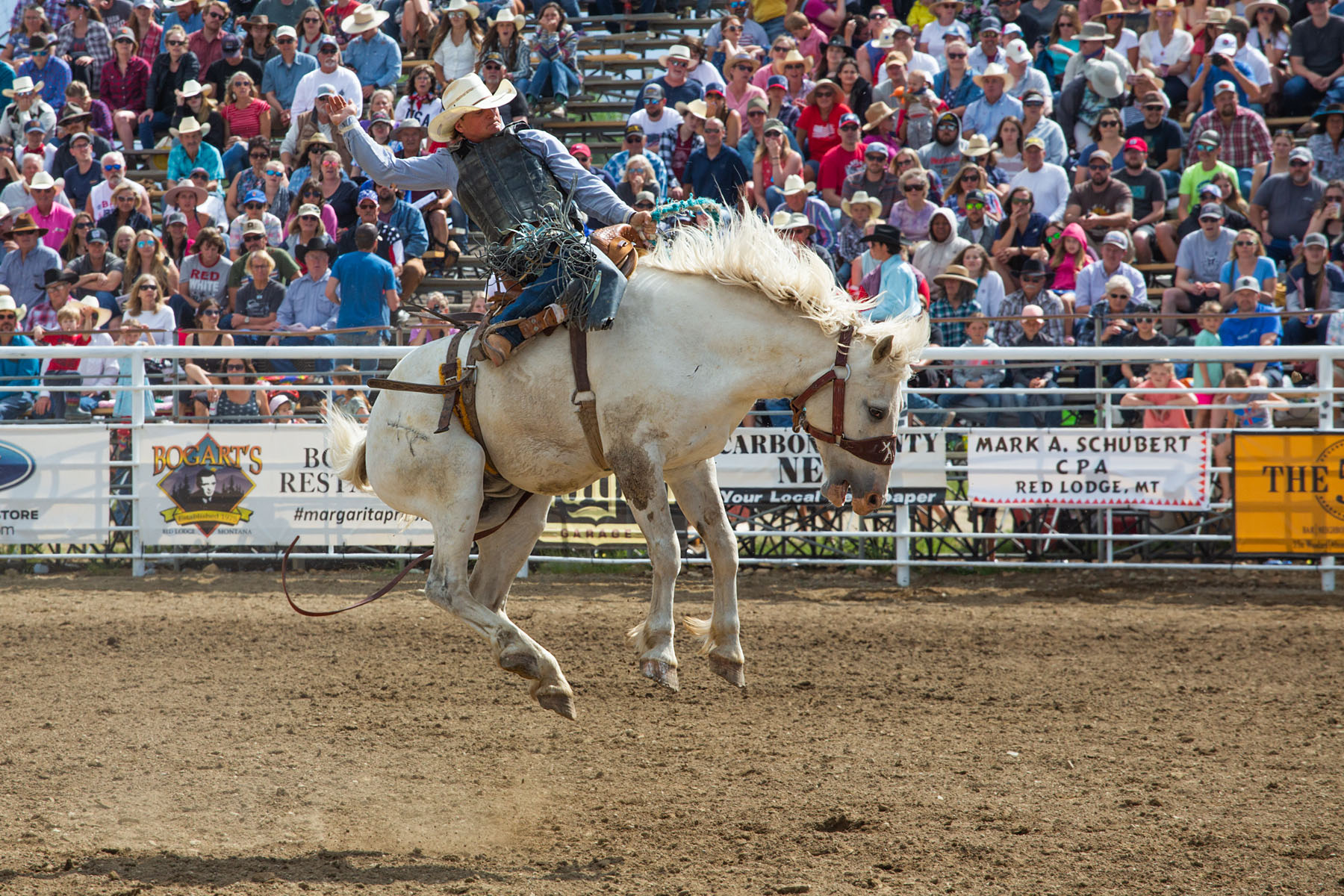 Saddle bronc, Red Lodge 4th of July rodeo.  Click for next photo.