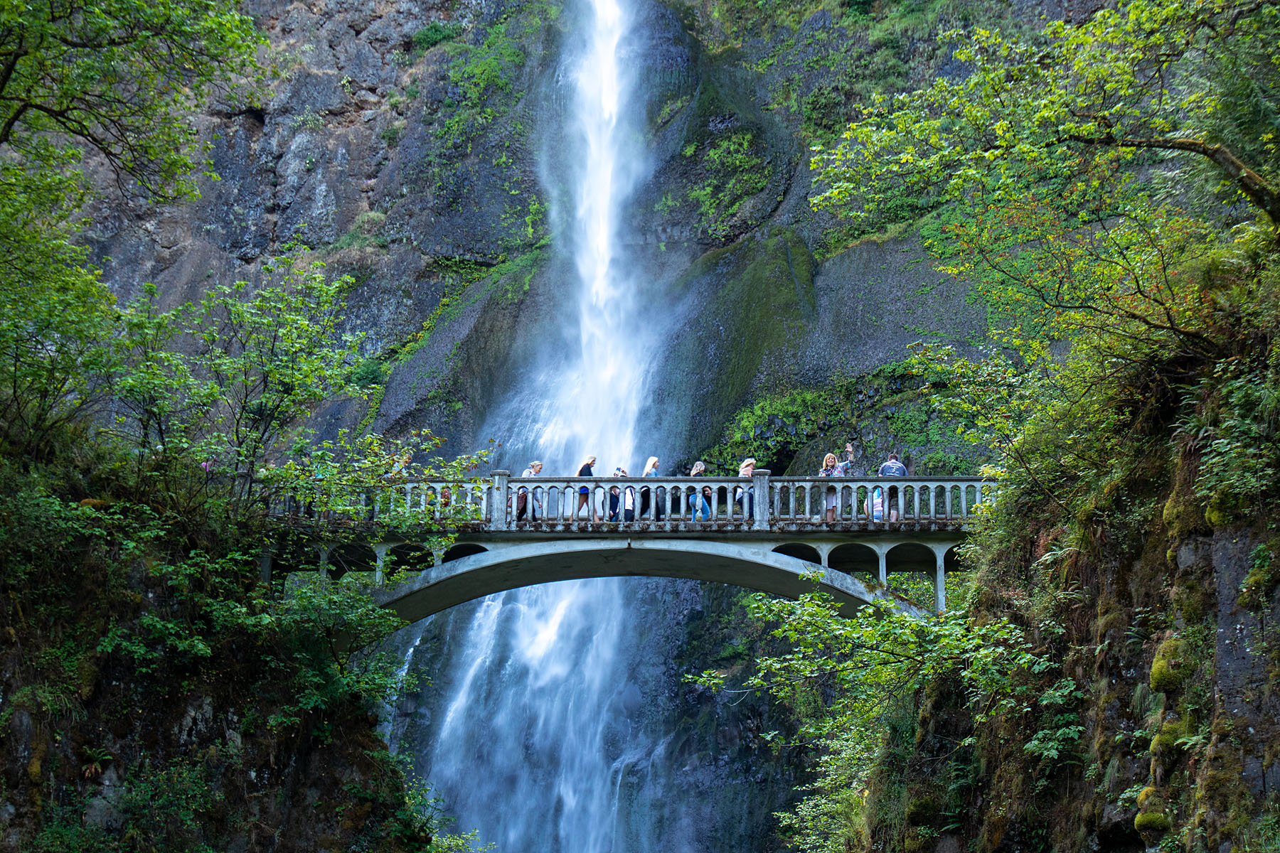 Multnomah Falls, Oregon.  Click for next photo.