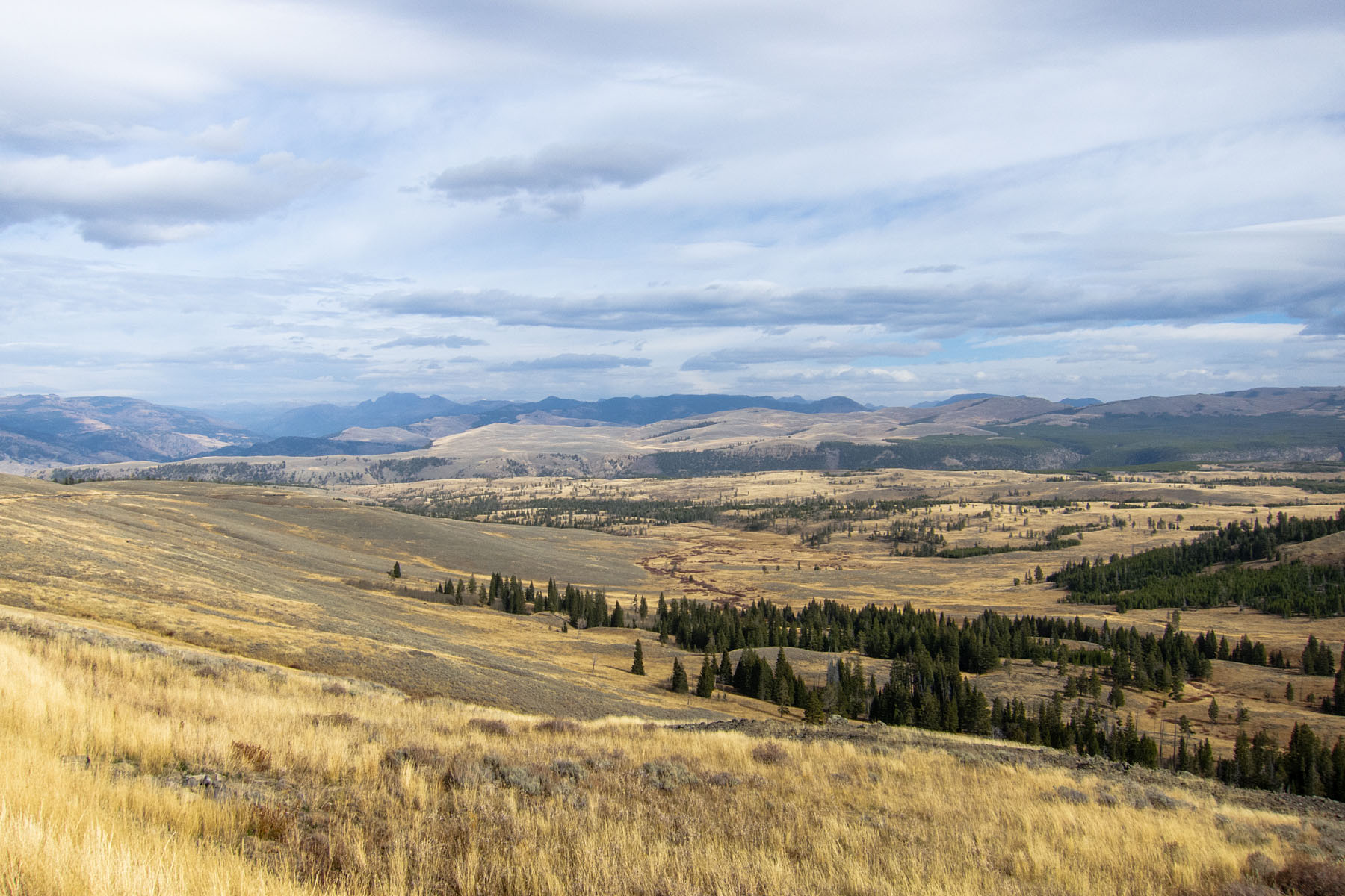 View from newly-renovated Tower Road, Yellowstone.  Click for next photo.