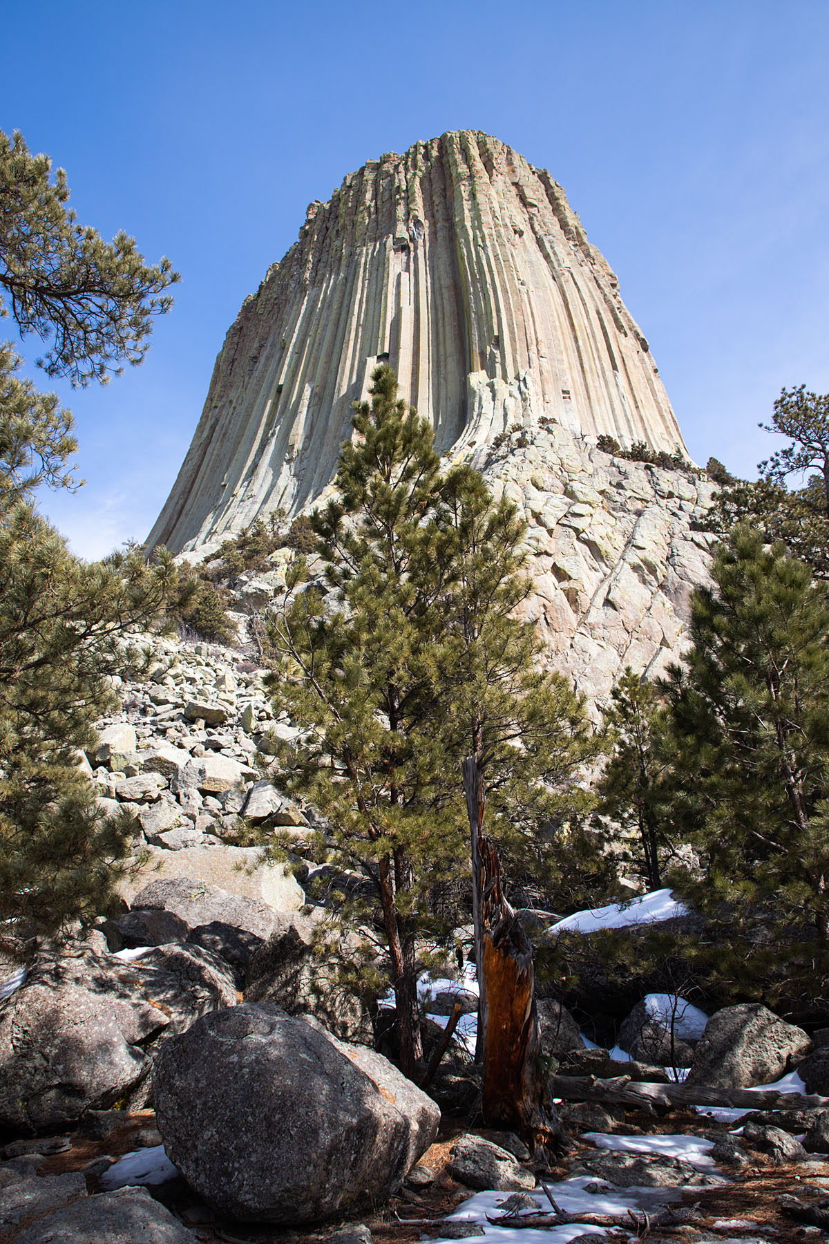 Devils Tower National Monument.  Click for next photo.