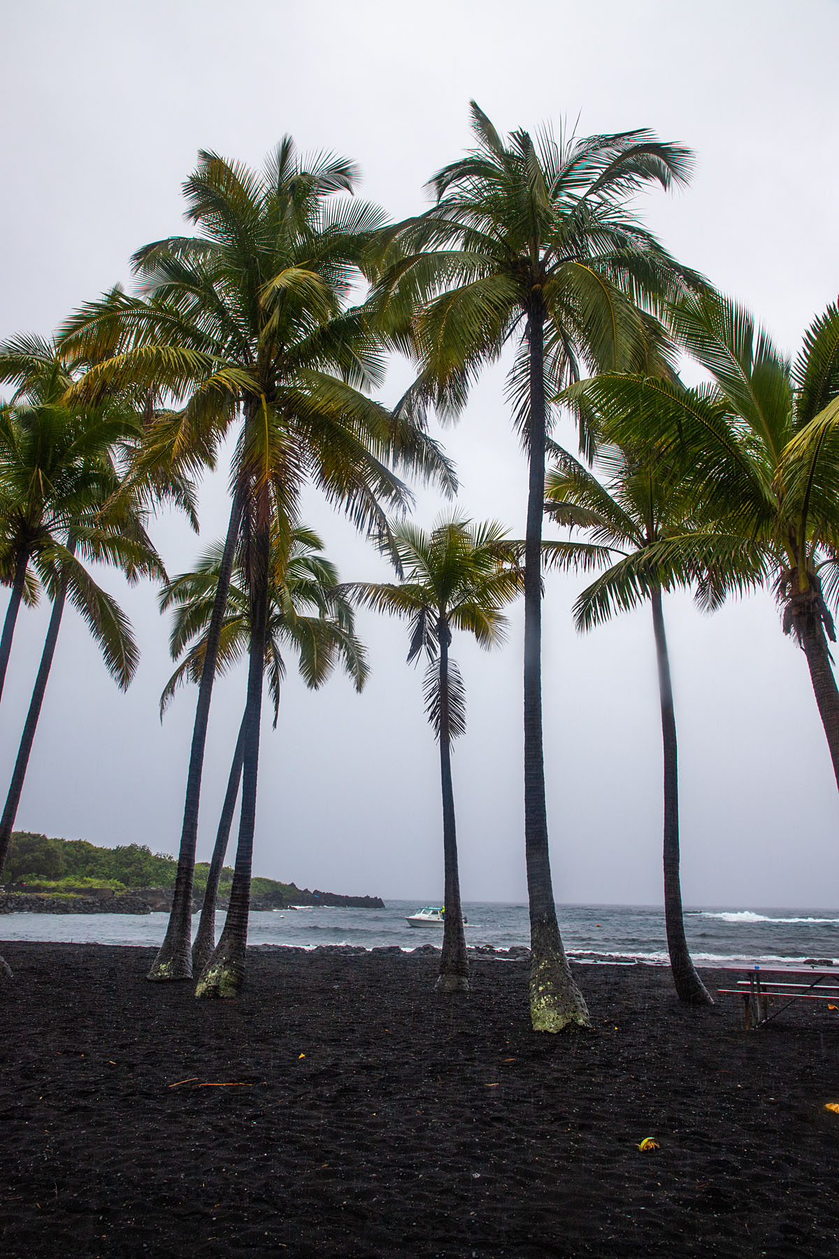 Punaluu Beach (black sand), rainy day on the Big Island.  Click for next photo.