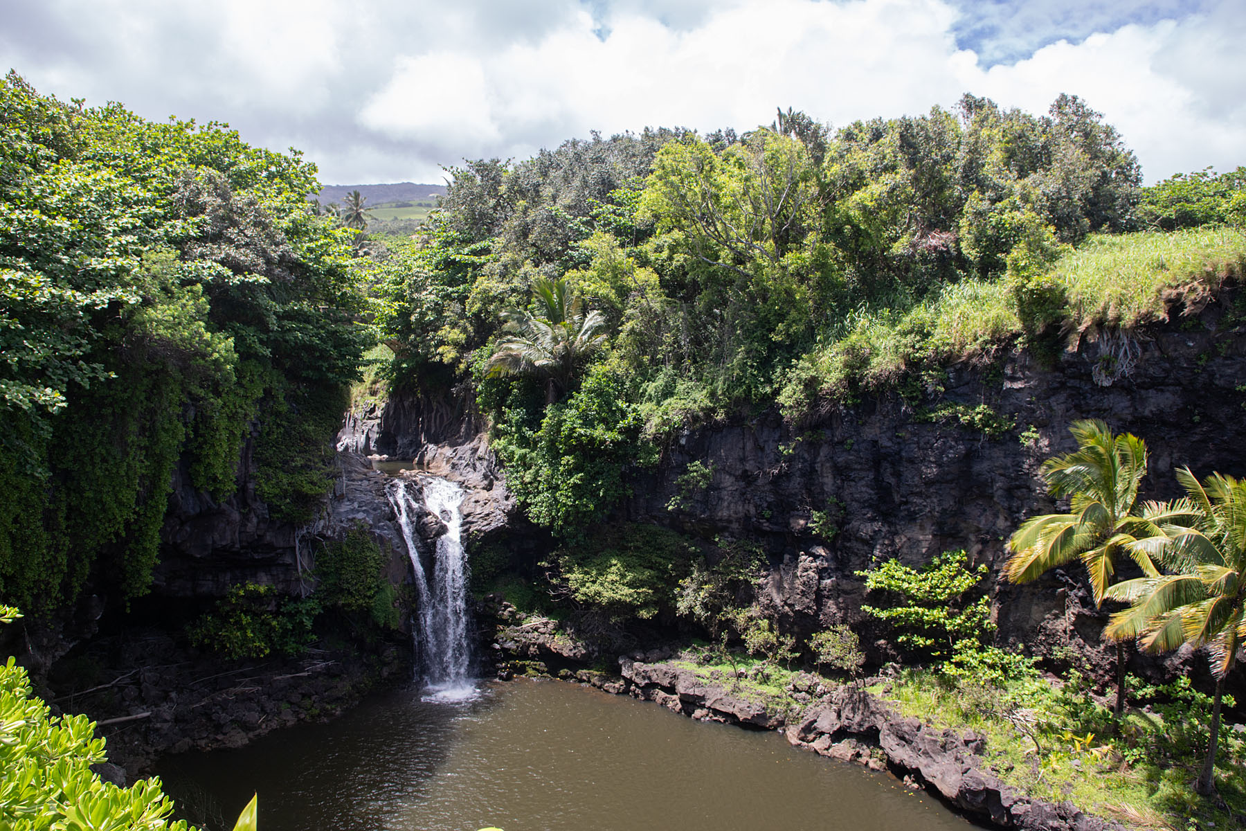 Haleakala National Park, Maui.  Click for next photo.