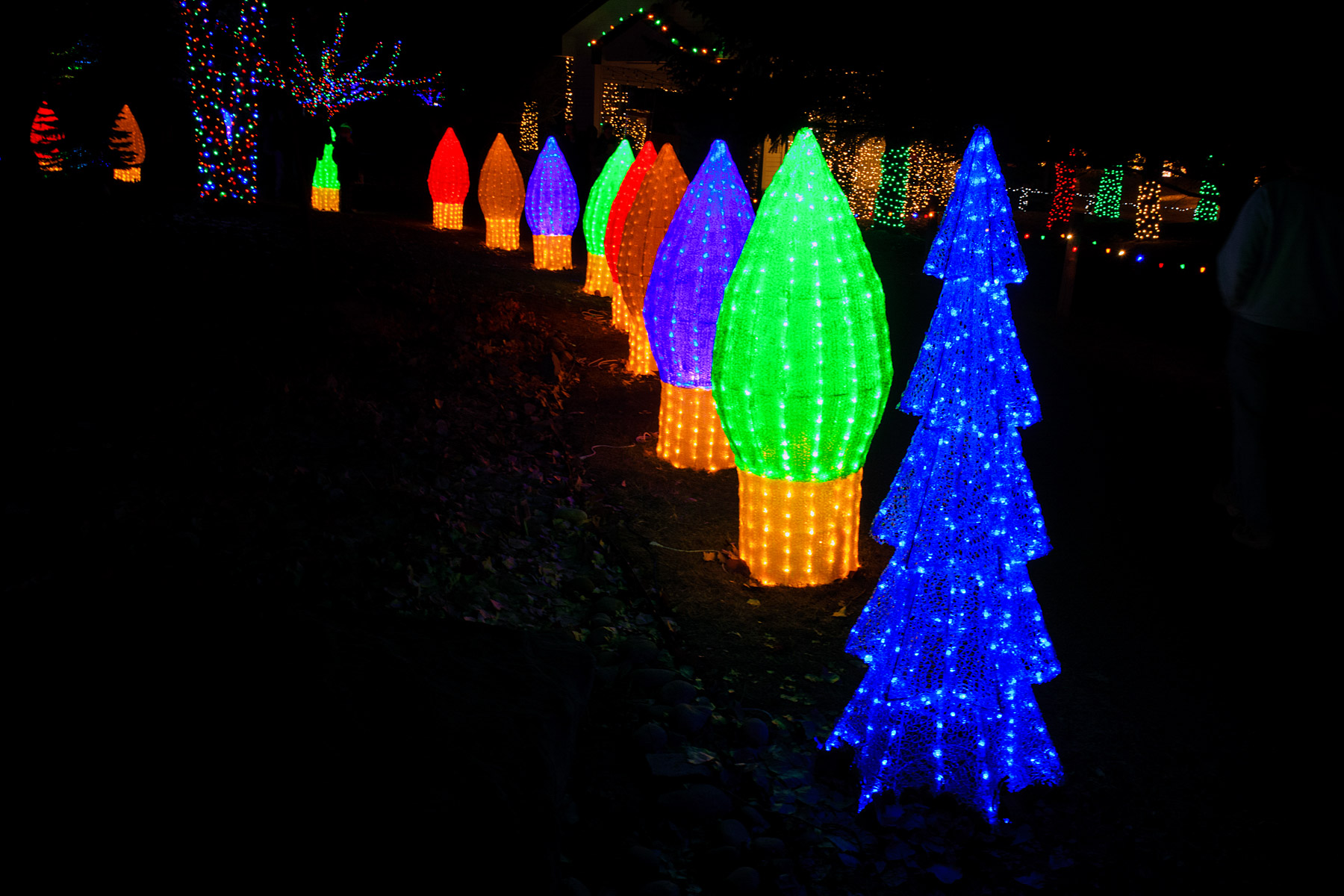 Christmas Lights at Zoo Montana.  Click for next photo.