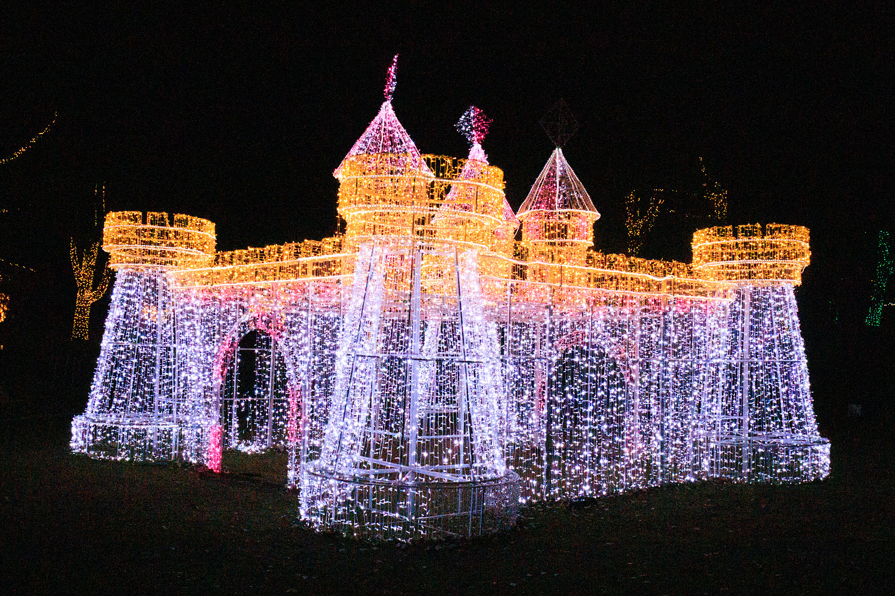 Christmas Lights at Zoo Montana.  Click for next photo.