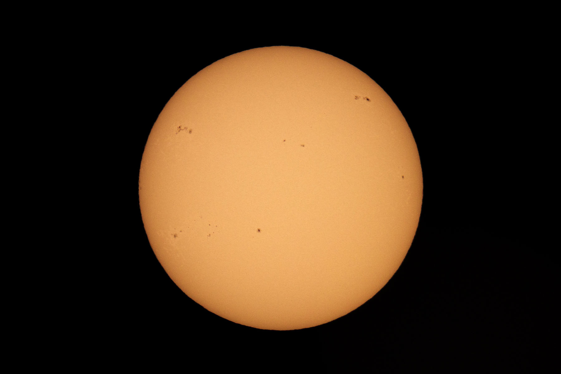 A week after the eclipse, the moon is gone and there are more sunspots.  Shot through Televue telescope with M100 camera, prime focus.  Click for next photo.