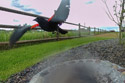 Blackbird flees from the lawn sprinklers, trail camera.