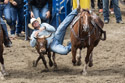 Home of Champions Rodeo, steer wrestling (2 of 3), Red Lodge, July 4.