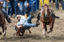 Home of Champions Rodeo, steer wrestling (3 of 3), Red Lodge, July 4.