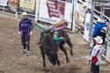 XTreme Bulls, Red Lodge, July 1.  This was the winning ride by Jackson Ward, 89 points.