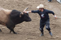 XTreme Bulls, Red Lodge, July 1.  Bullfighter Ezra Coleman distracts the bull from a fallen rider.