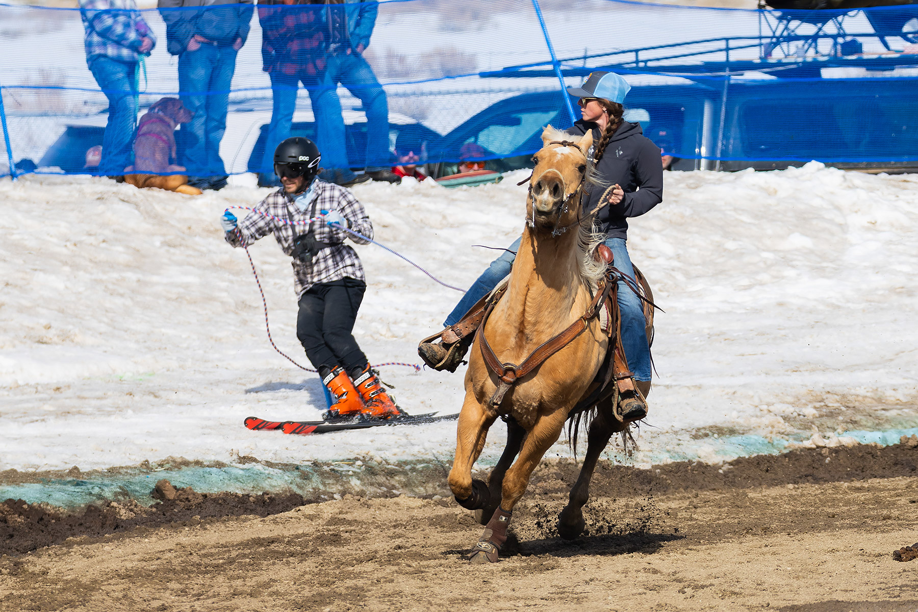 The three parts of the team, Ski Joring National Finals.  Click for next photo.