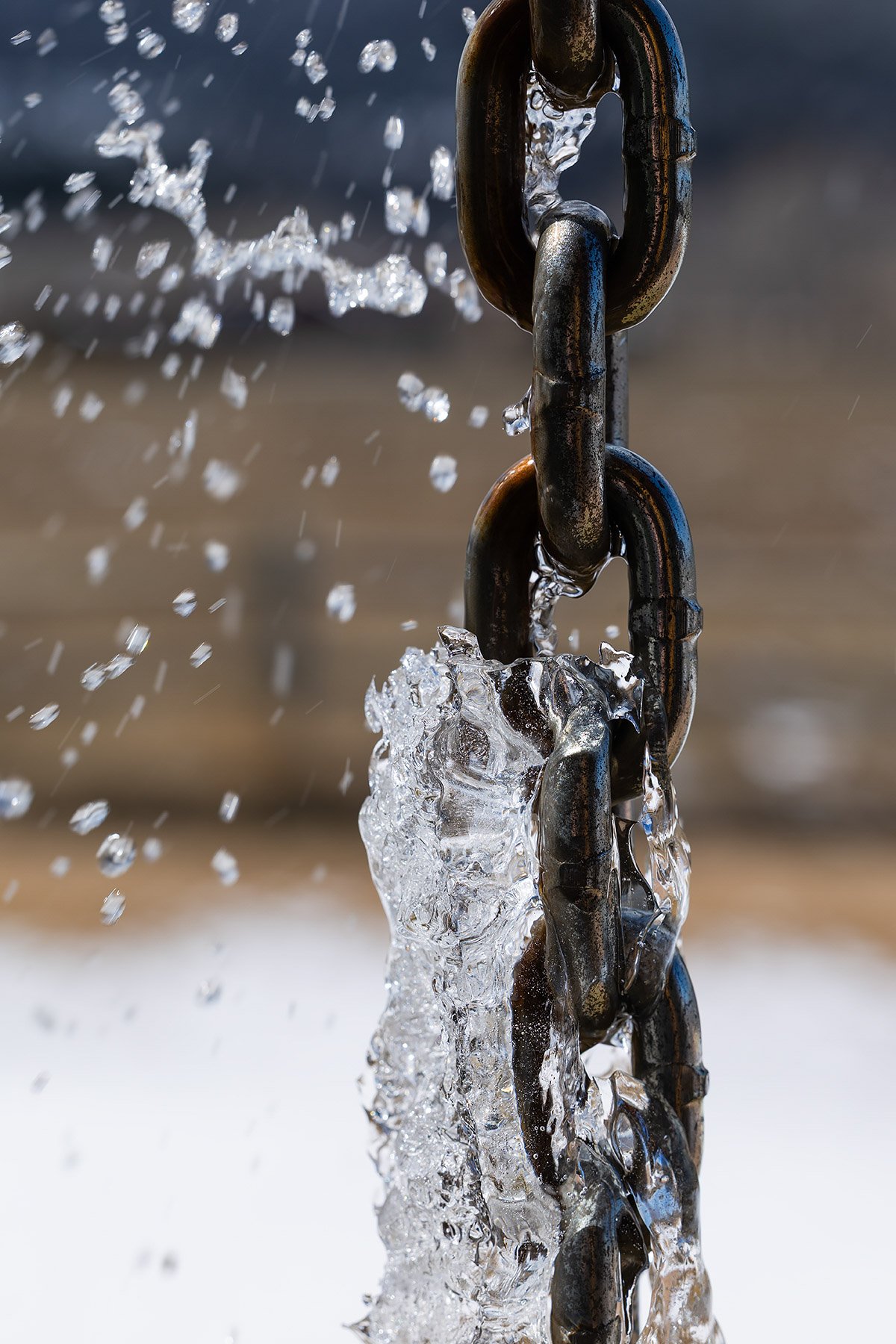 Rain chain breaking free of the ice.  Click for next photo.