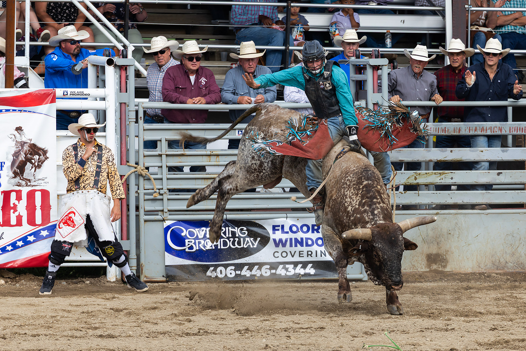 Xtreme Bulls, Red Lodge, MT.  Click for next photo.
