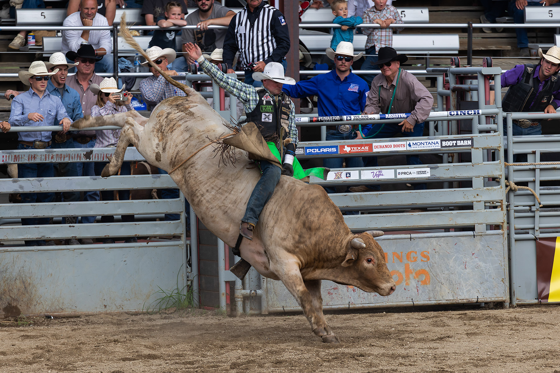 Xtreme Bulls, Red Lodge, MT.  Click for next photo.