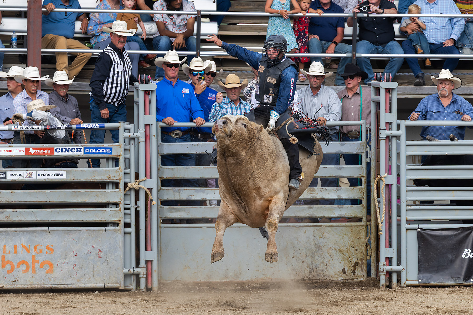 Xtreme Bulls, Red Lodge, MT.  Click for next photo.