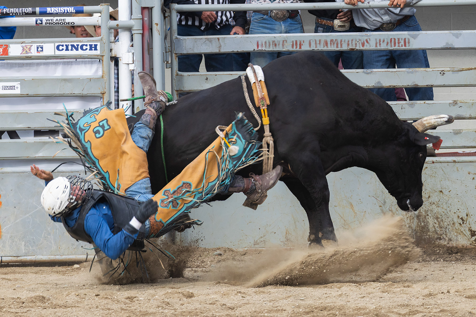 Xtreme Bulls, Red Lodge, MT.  Click for next photo.