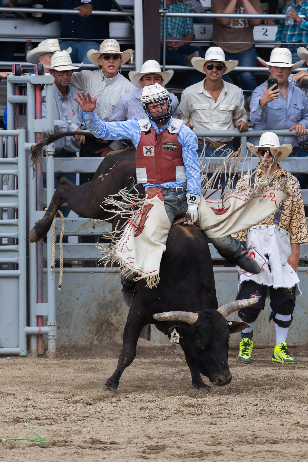 Xtreme Bulls, Red Lodge, MT.  Click for next photo.
