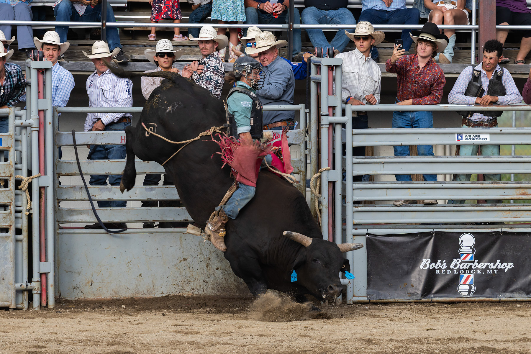 Xtreme Bulls, Red Lodge, MT.  Click for next photo.