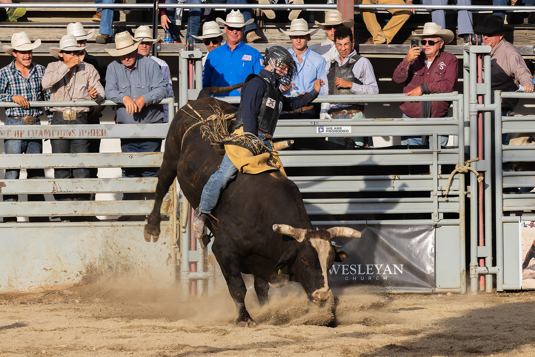 Xtreme Bulls, Red Lodge, MT.  Click for next photo.