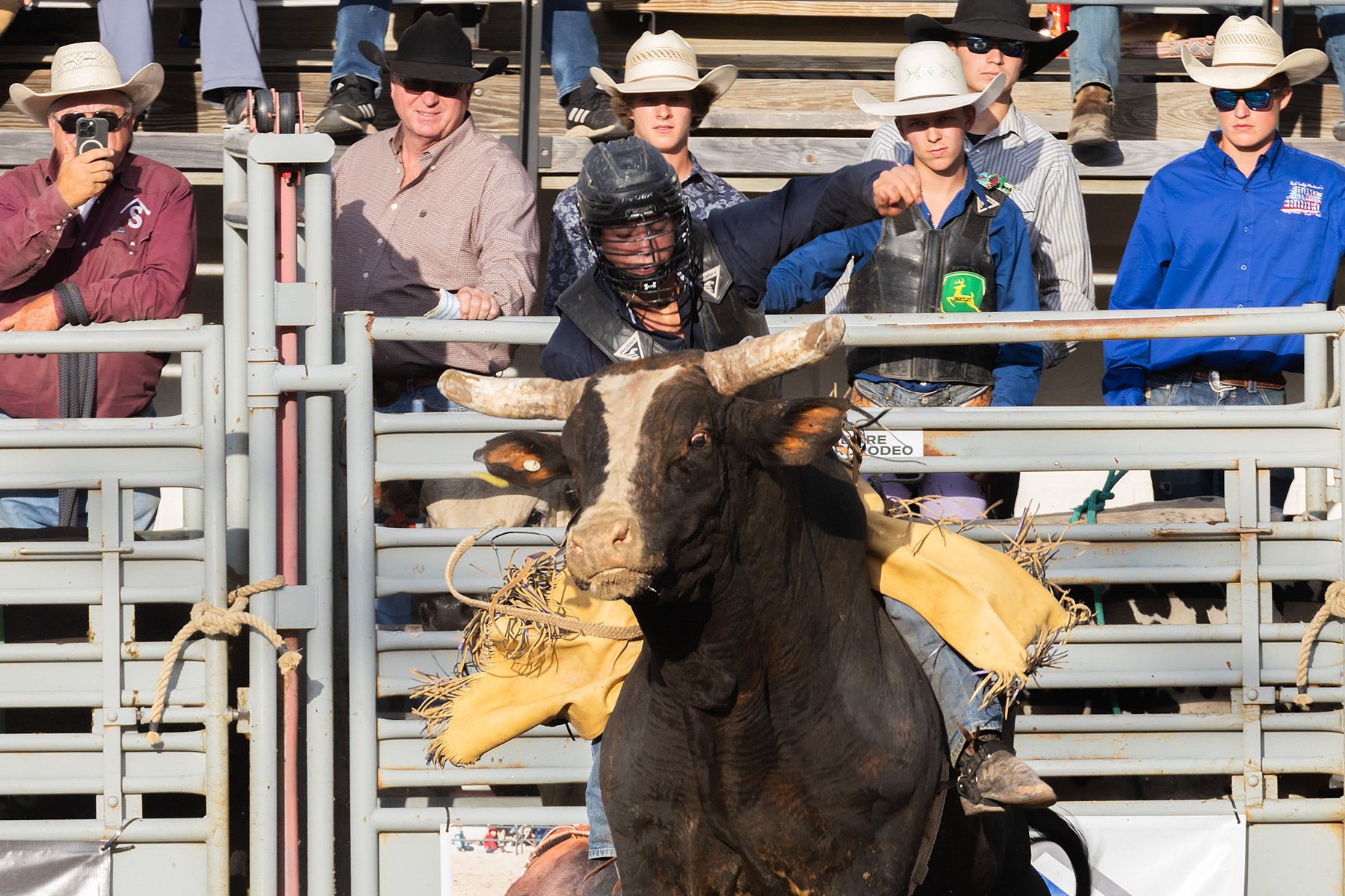 Xtreme Bulls, Red Lodge, MT.  Click for next photo.
