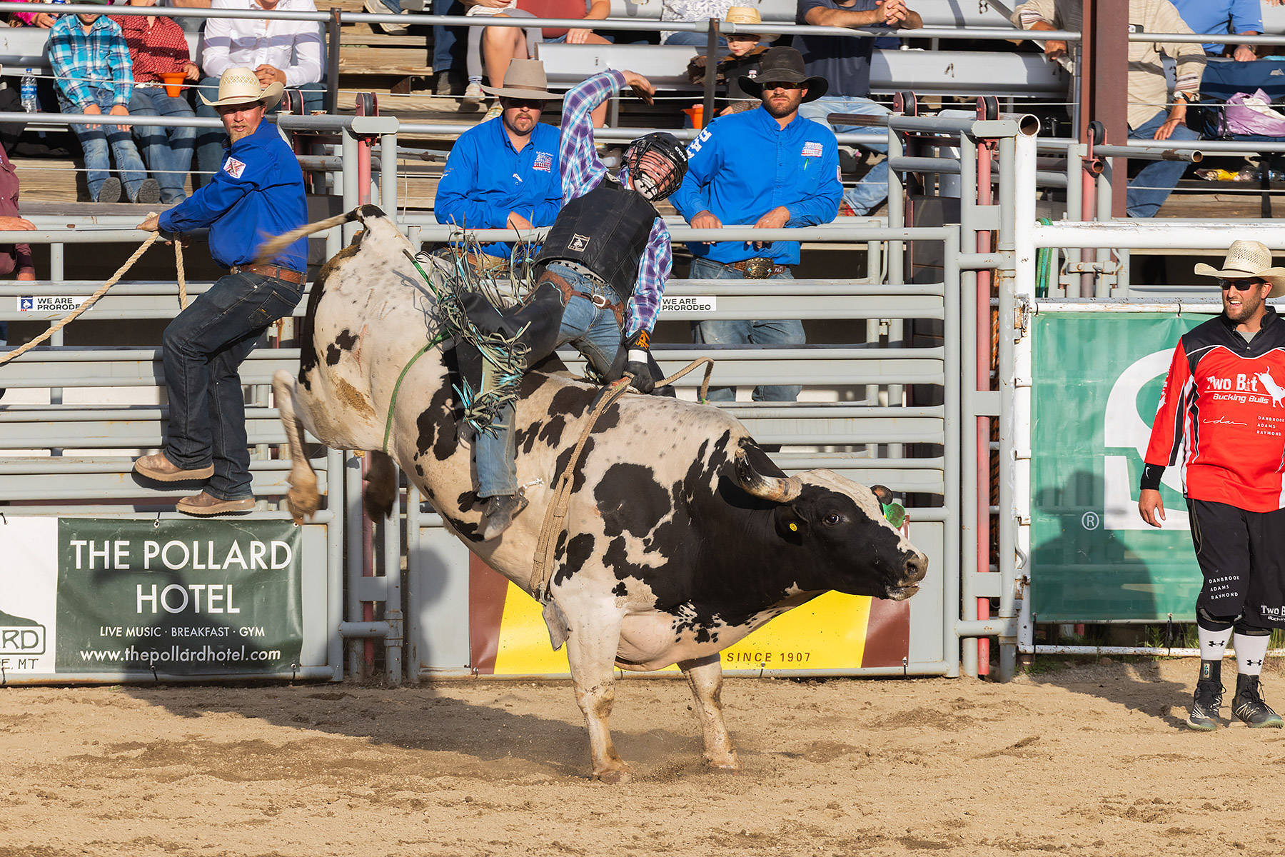 Xtreme Bulls, Red Lodge, MT.  Click for next photo.