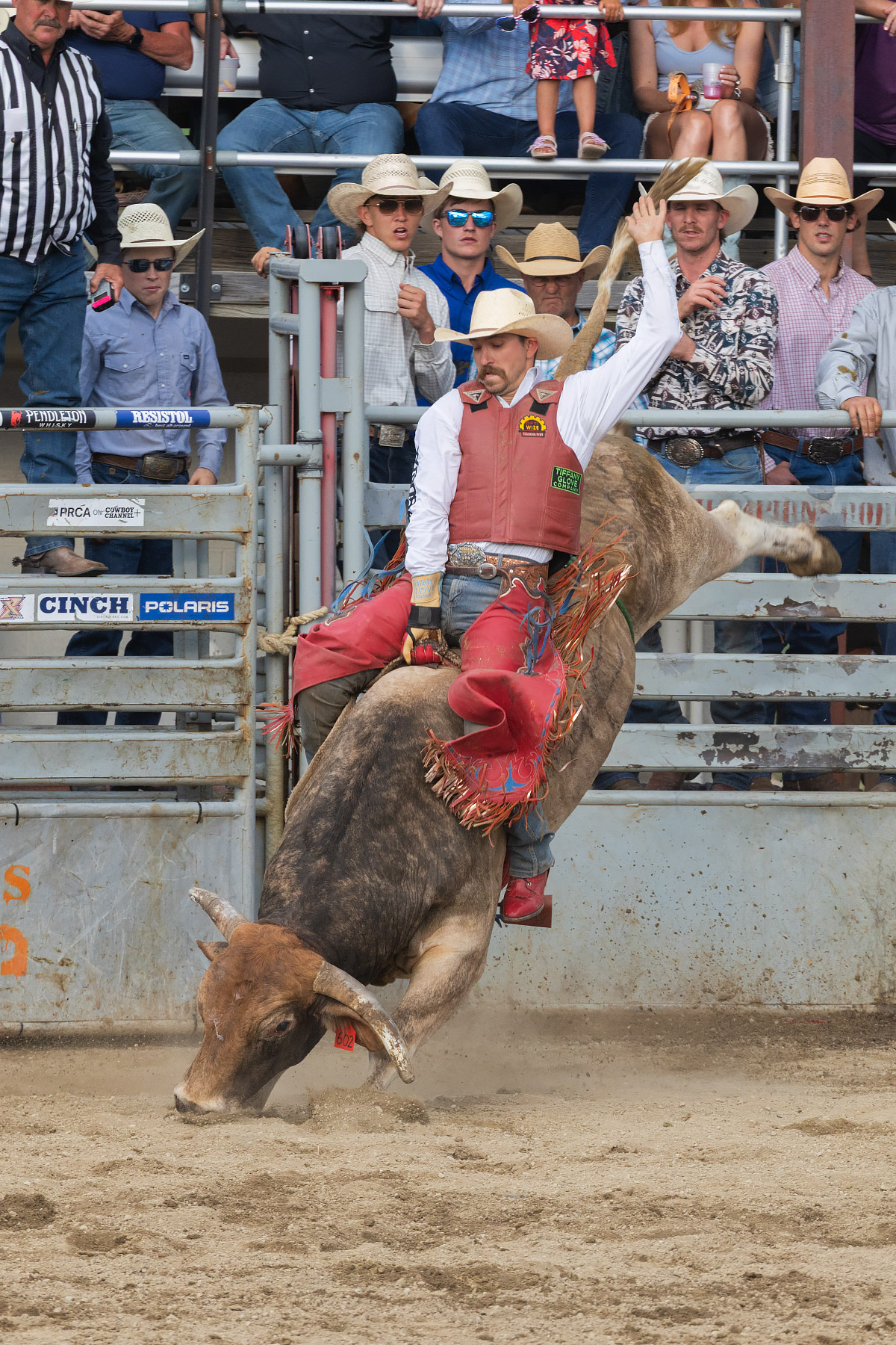 Xtreme Bulls, Red Lodge, MT.  Click for next photo.