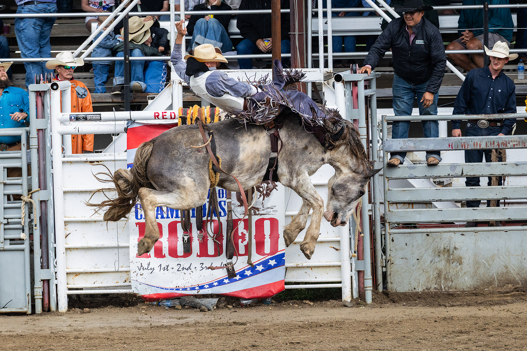 Home of Champions Rodeo, Red Lodge, MT.  Click for next photo.