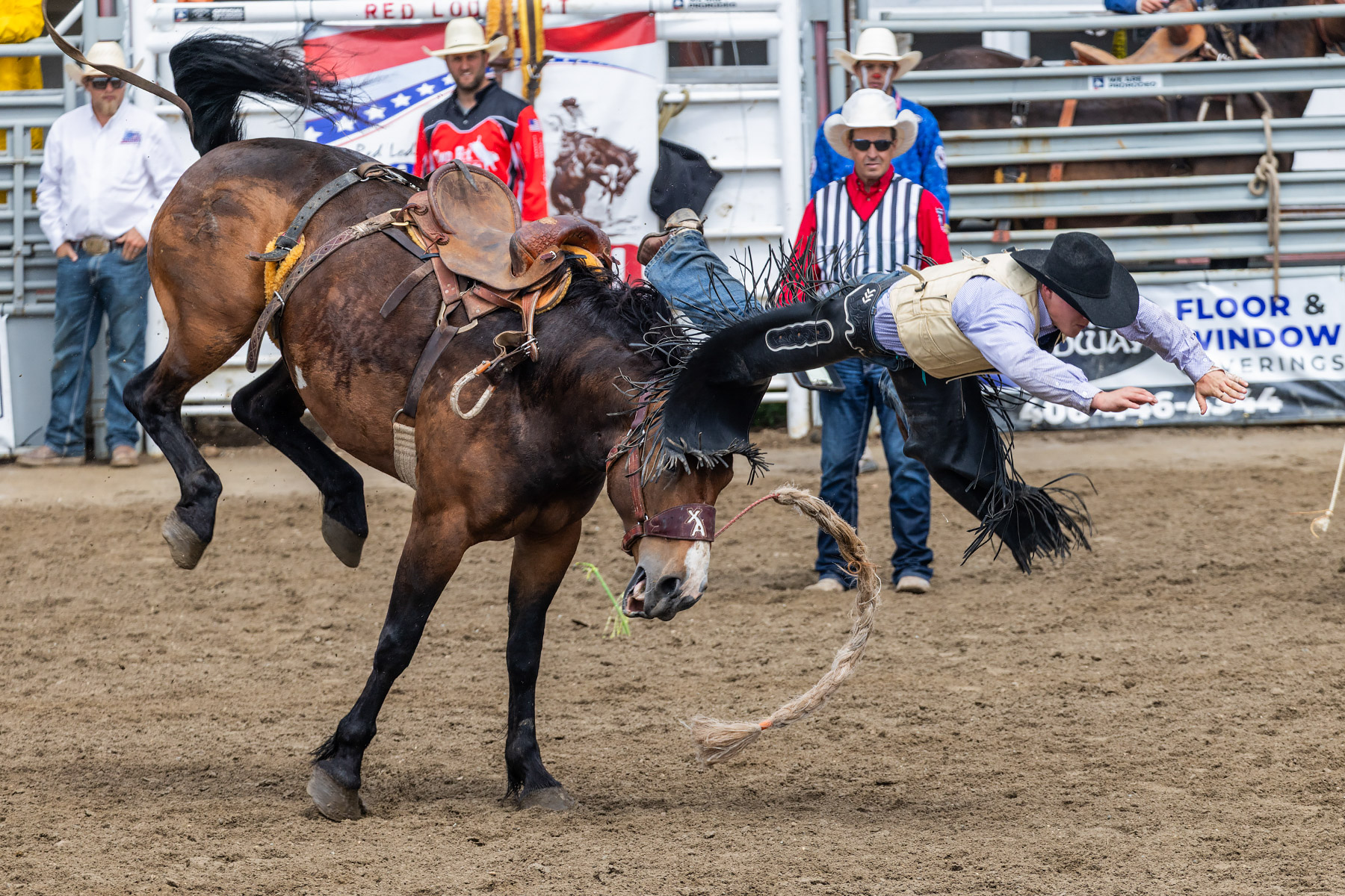 Home of Champions Rodeo, Red Lodge, MT.  Click for next photo.